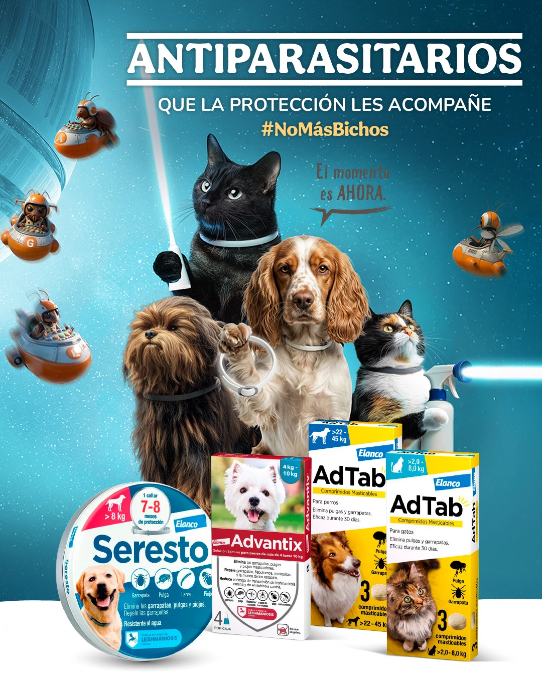 05-diseno-digital-para-marca-tiendanimal